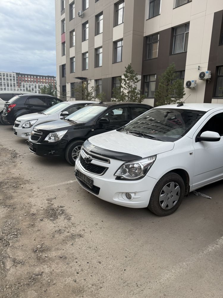 Аренда авто Chevrolet Cobalt