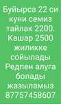 Кашар жіліктенеді