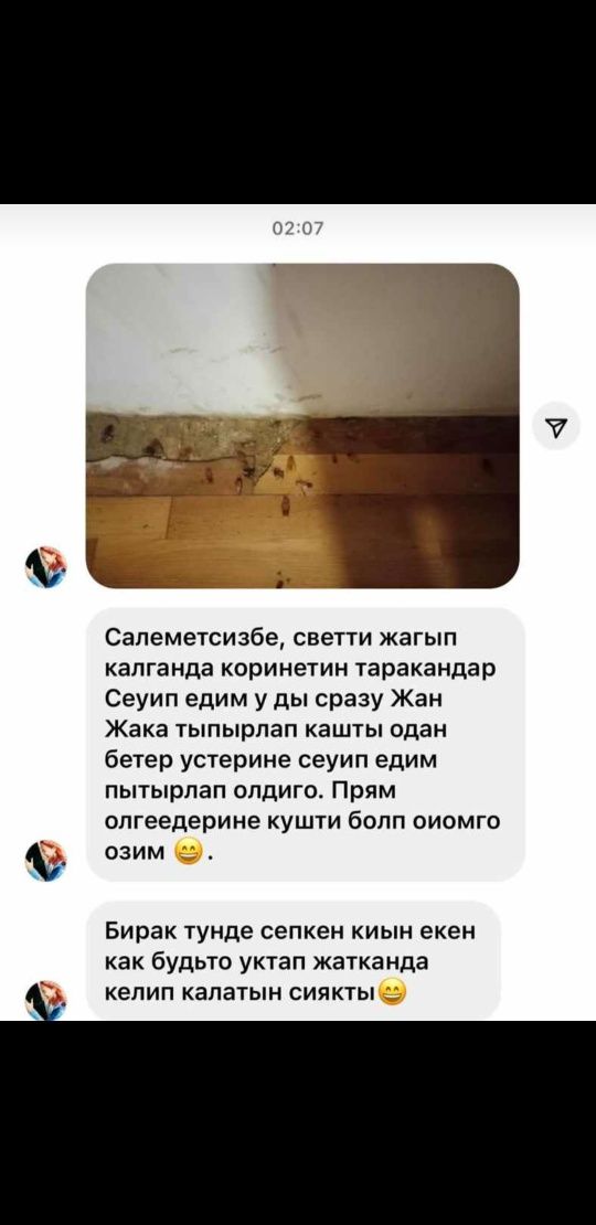 Средство от Құмырсқа-Муравьёв, Қандала, Таракан