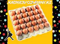 Инкубационные яйца Ломан Браун: здоровье и продуктивность