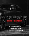 АВТОПОДБОР. Автоэксперт. Компьютерная диагностика. Толщиномер