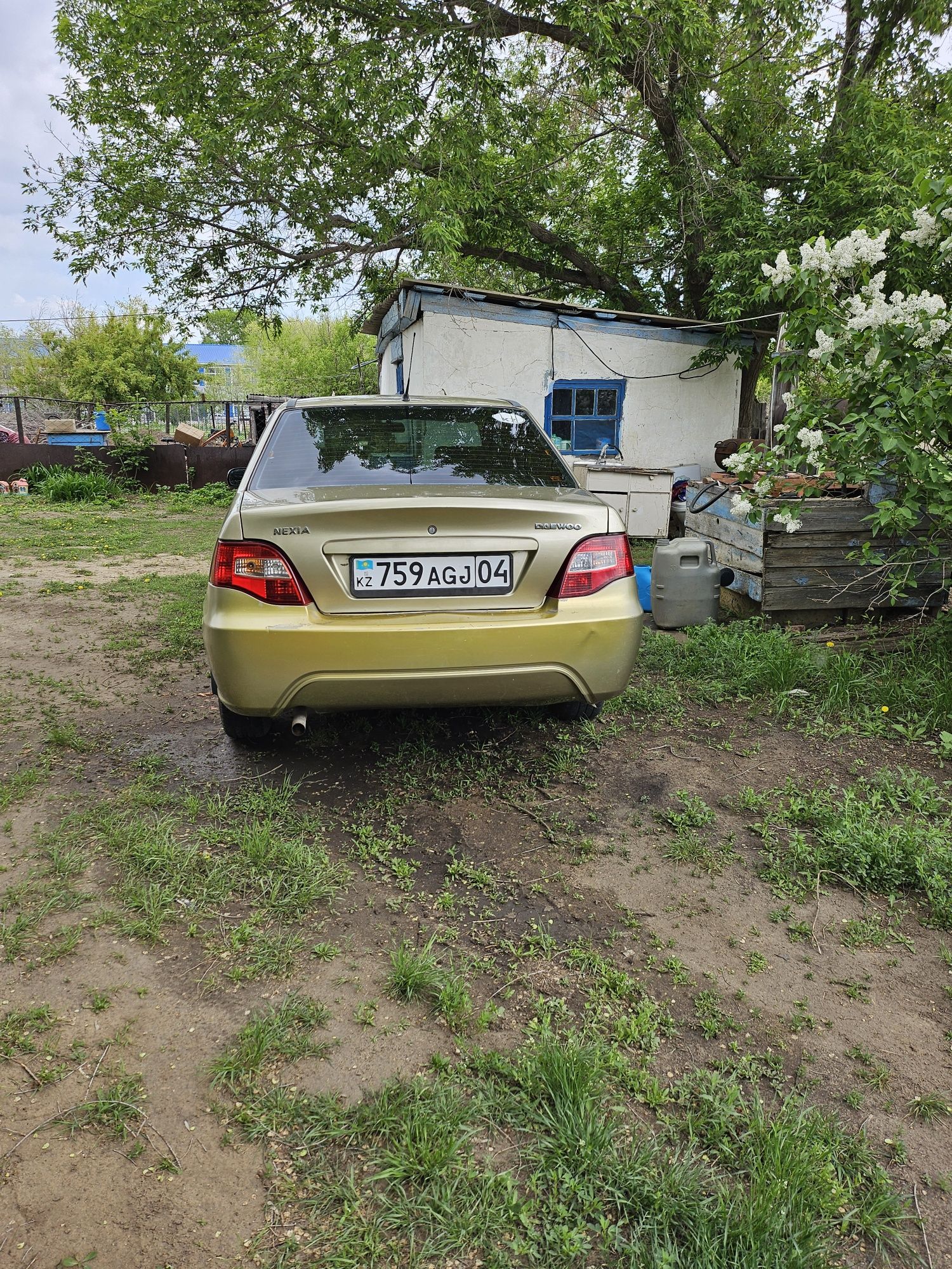 Нексия 2,газ бензин,8 клапан,масло не жрёт