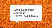 Домашние Облепиха бесплатно доставка ягоды Смородина Смародина каракат