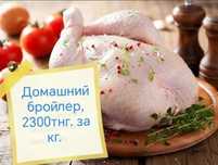 Бройлер домашний