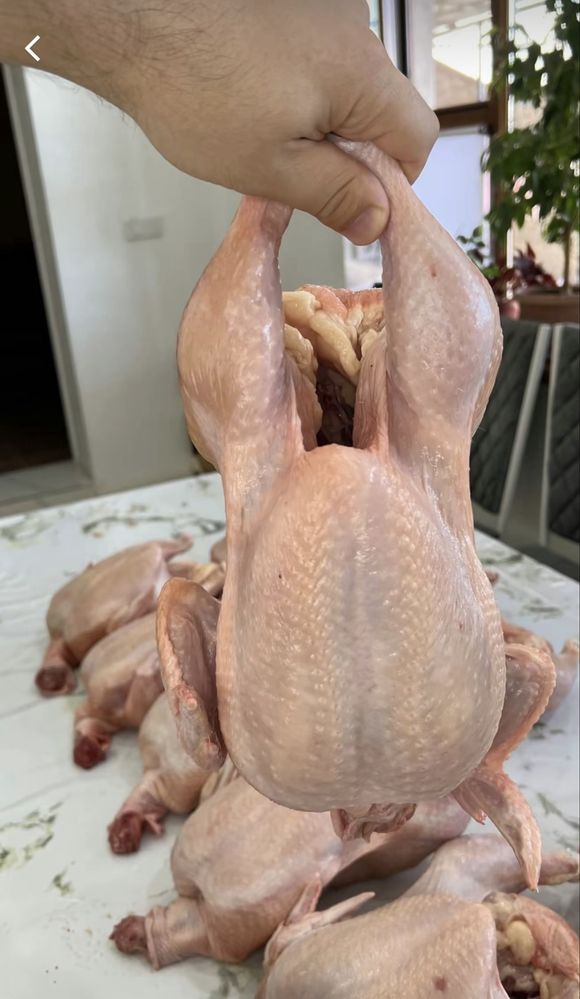 ОПТОМ мясо курицы