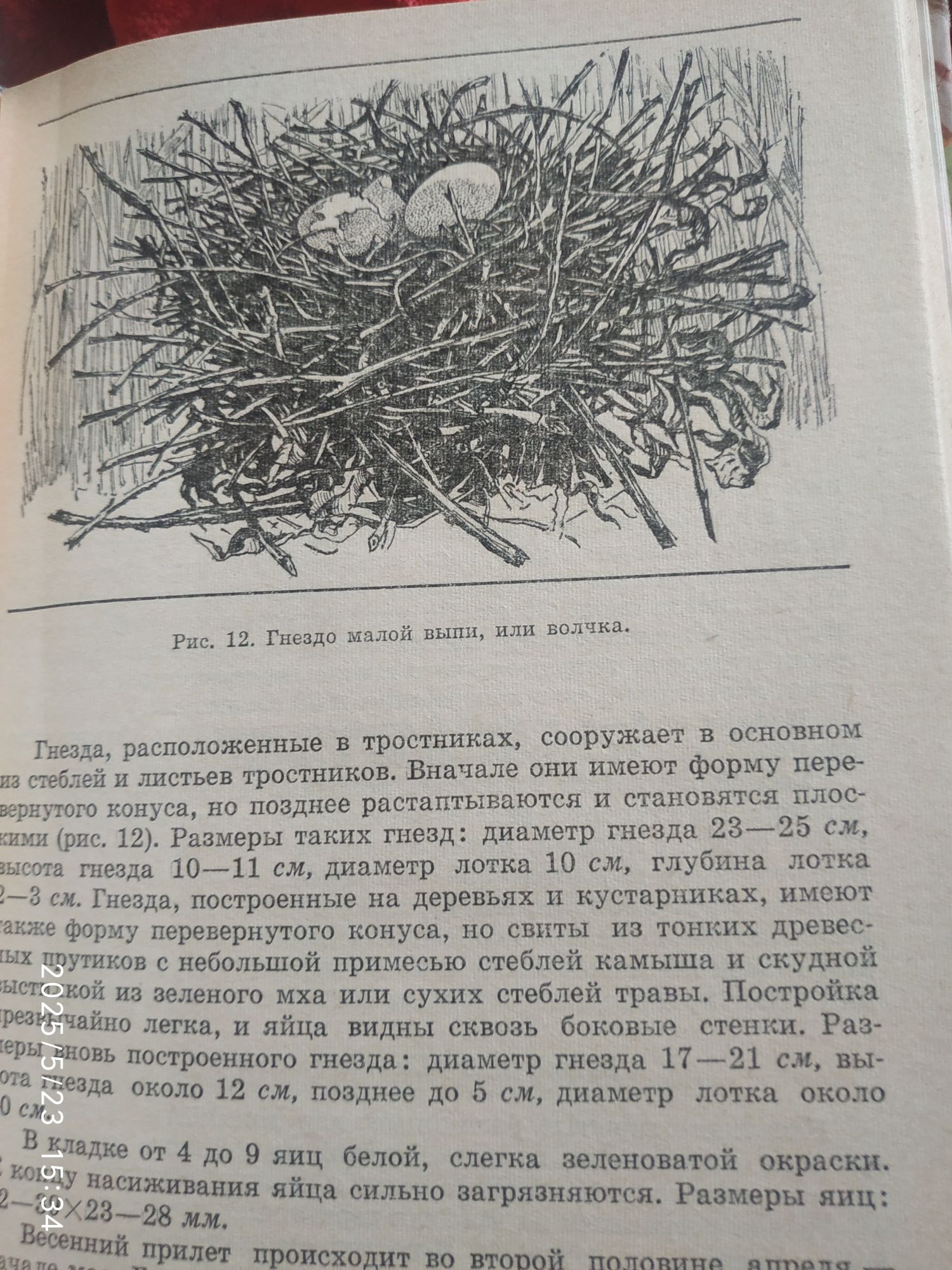 Книги о Птицзх.Советских времён.