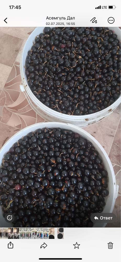 Продаётся смородина дачный вкусный сочный , свежий  есть доставка