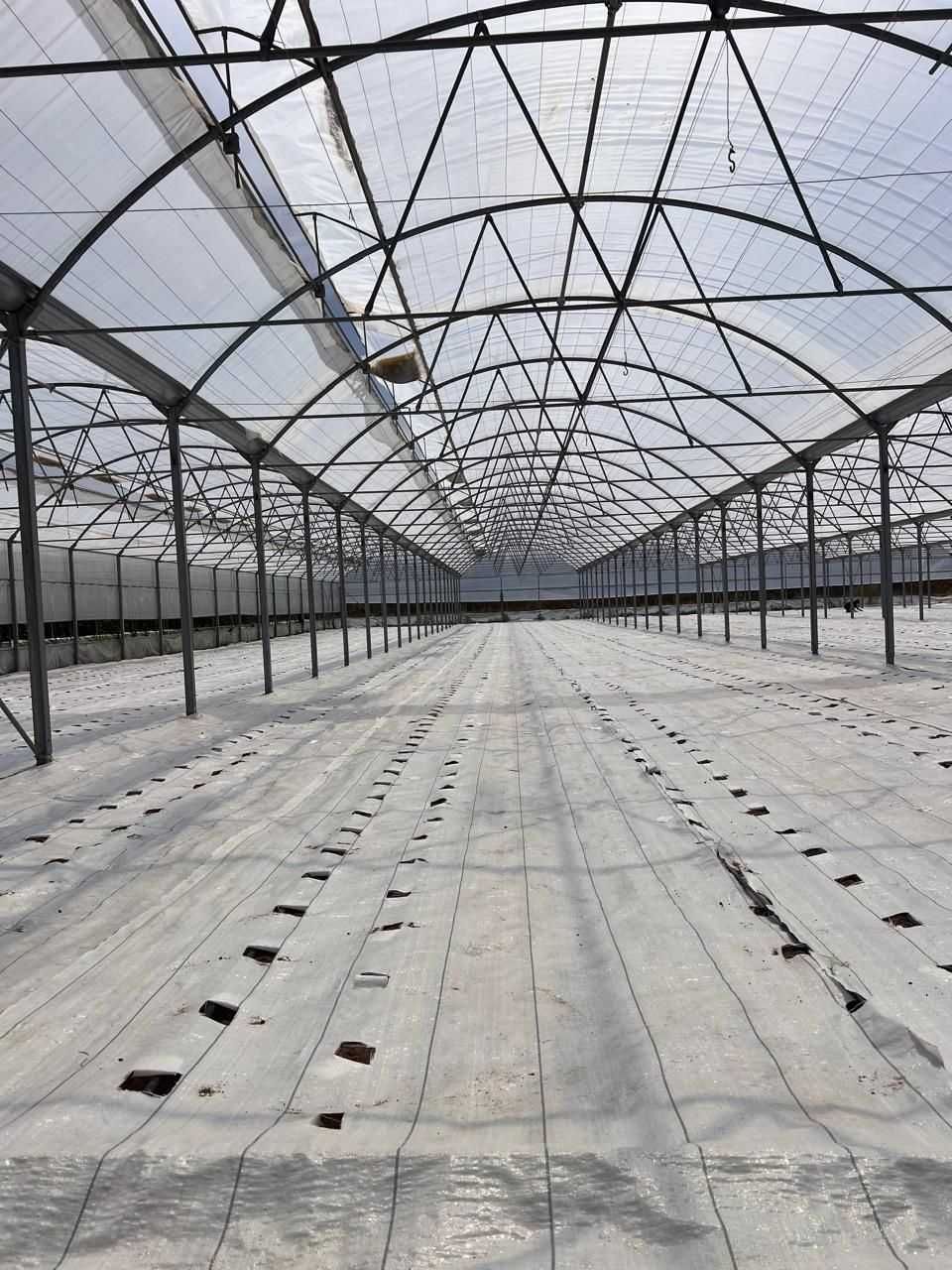 Теплица парник 3 га