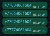 4 сим зеркальные номера одинаковые