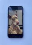 Продам iPhone 7 / 32 GB / Отличное состояние