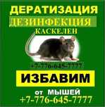 Клоп / Клопы / Таракан / Тараканы / Блох / Мыши уничтожение Каскелен