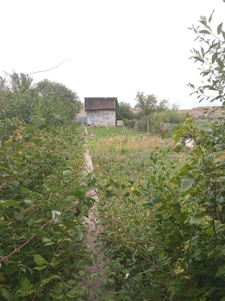 Продаю дачу с участком  7 соток с уражаем