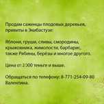 Продам саженцы плодовых деревьев