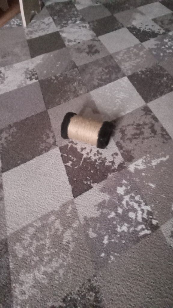 Отдам  кота британца