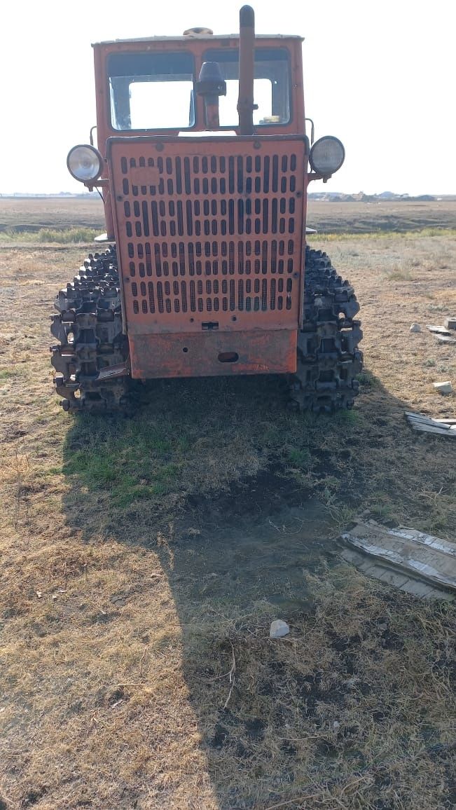 Алтайец сатылады