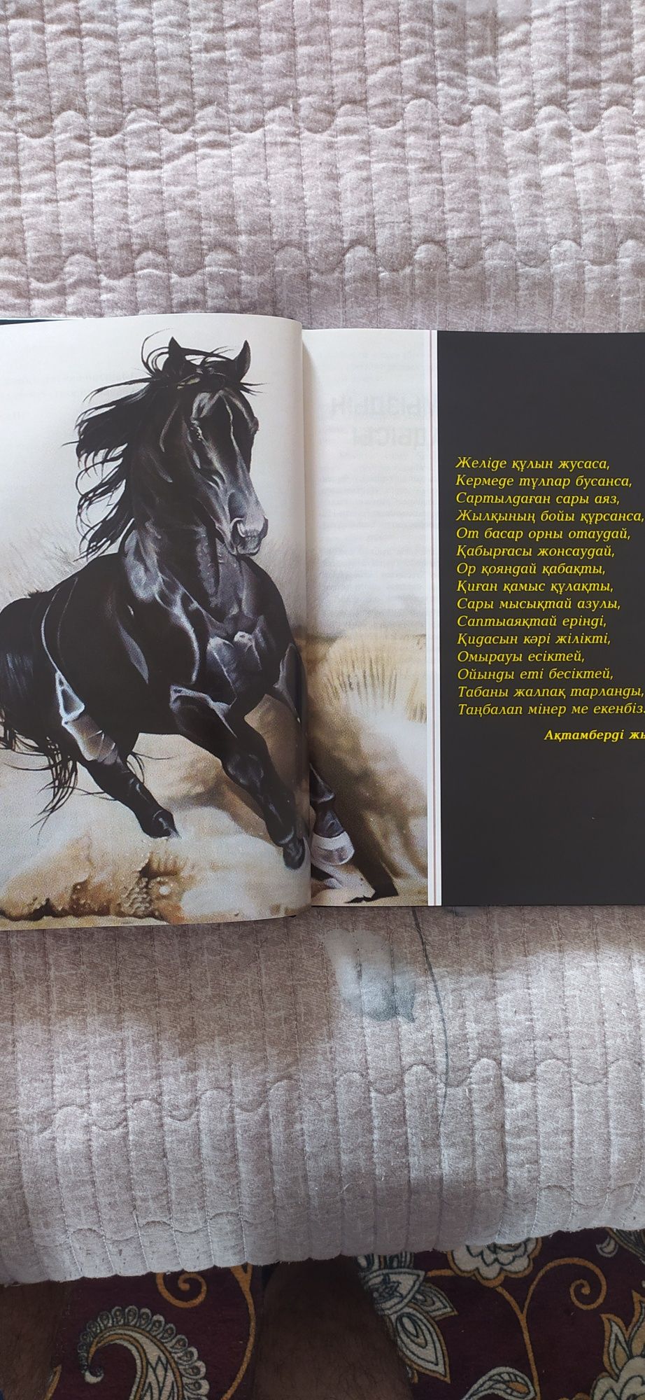 Казахское искусство верховой езды.