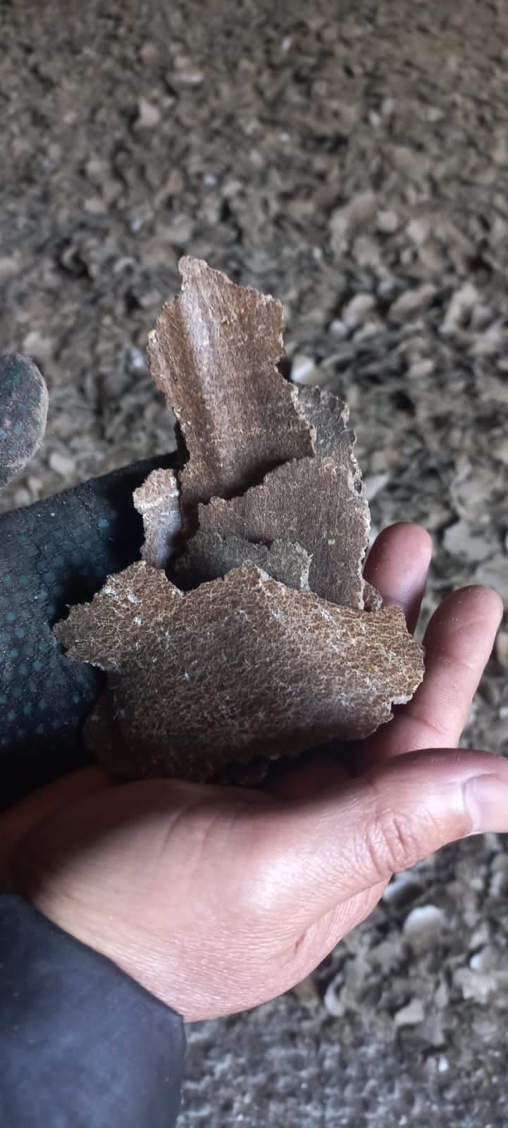 Продам жмых, масло льняное и масло подсолнечное