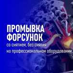 Промывка форсунок ультразвуковая. Диагностика ДВС эндоскоп.