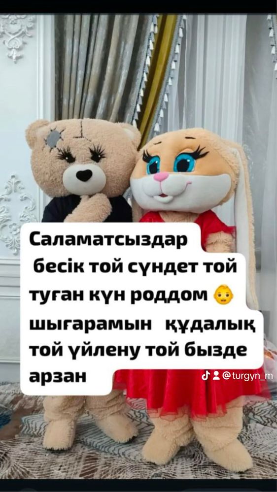 Аю қоян мишка шагамын