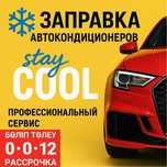 Профессиональный ремонт и заправка автокондиционеров