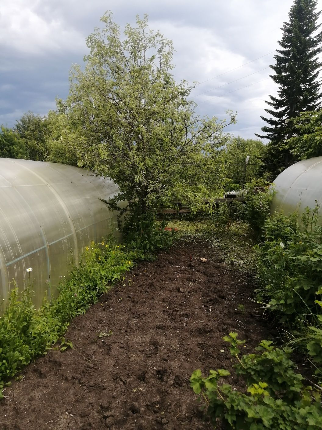 Продам дачу в ермаке на первой беровой линии.