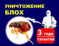 Муравей Таракан  Клопы Блохи Грызуны Дезинфекция Семей  9000 тенге