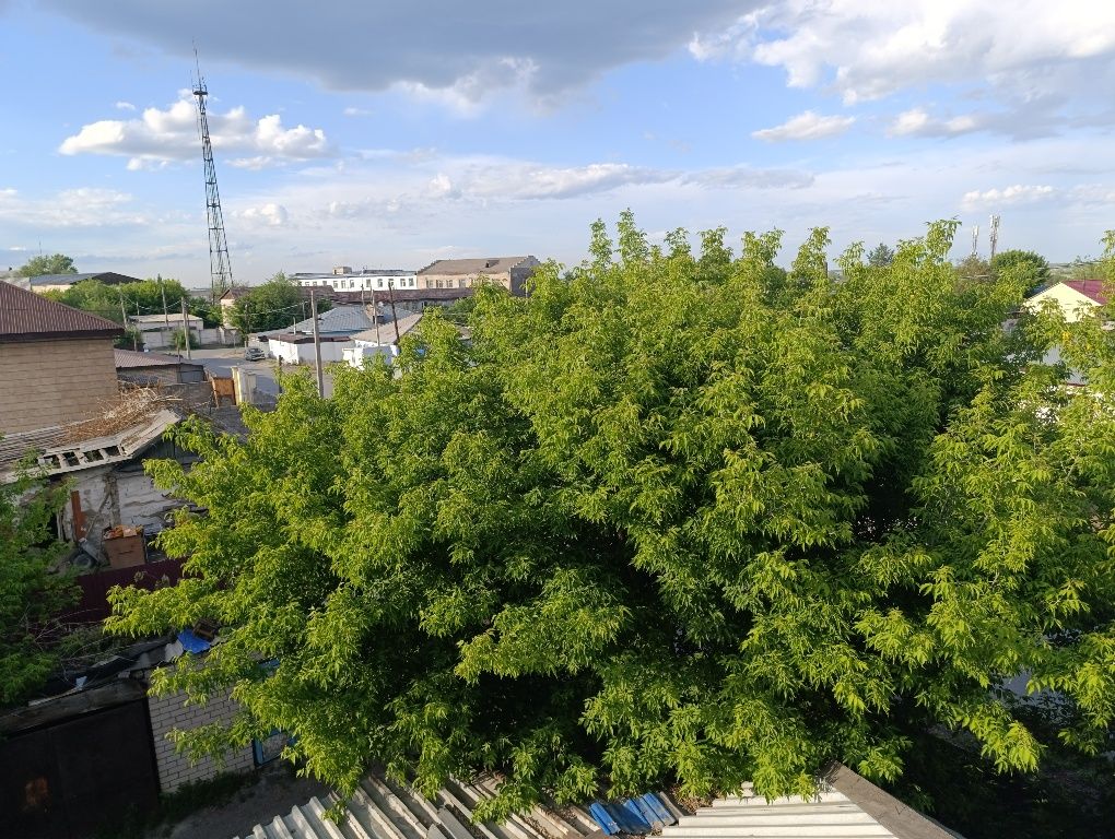 Продам дом на улице Радищева, между Найманбаева и Валиханова. Гай, мпс