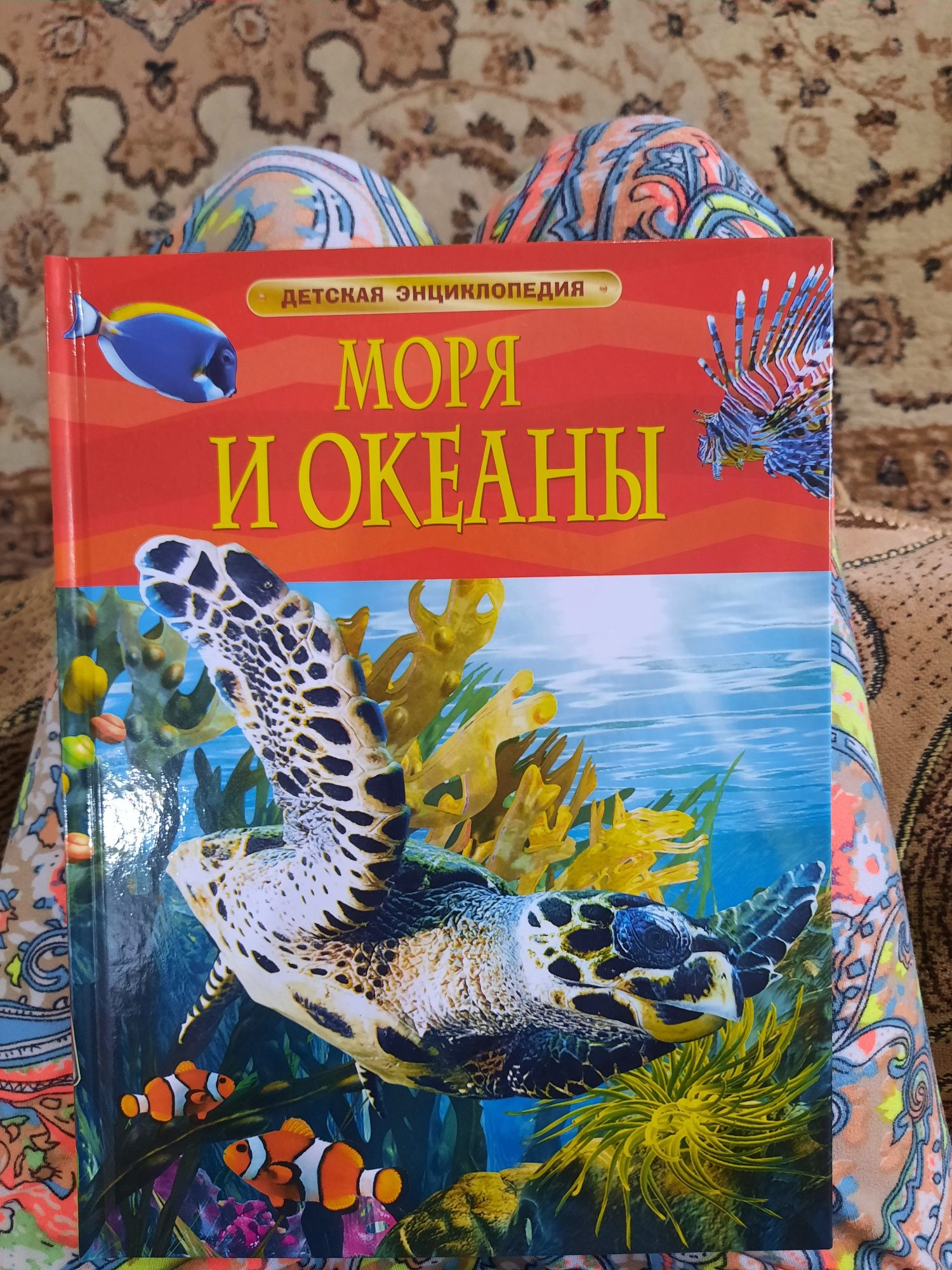 Новая детская энциклопедия Моря и океаны