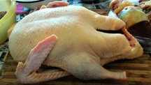 Домашние молодые сочные свежие вкусные тушки гусей