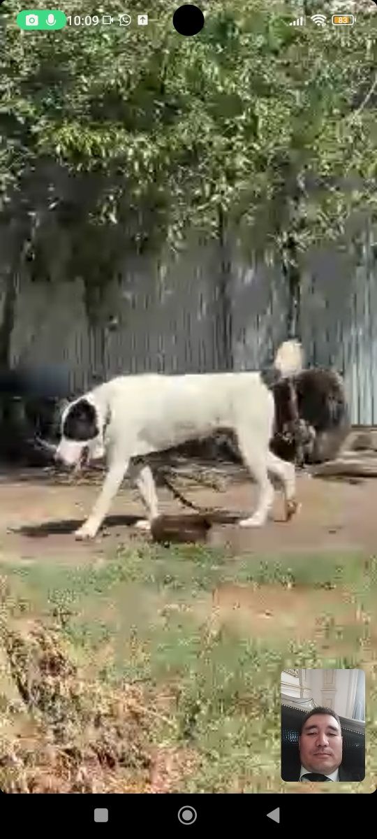 На вязку ждем всех желающих