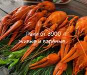 Живые раки и варёные