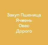 Продам ячмень пшеницу овёс
