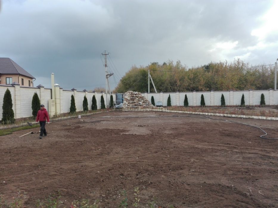 Рулонный газон ( 2 600) рулон от 1000 рулонов.