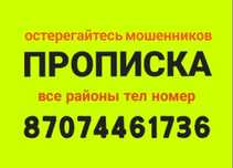 _707_446_17_36_ прописки на машину02
