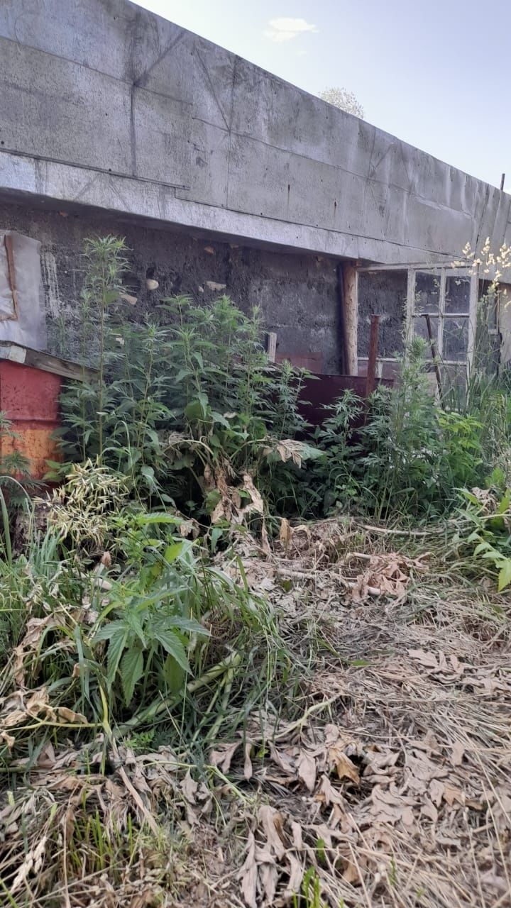 Продам строение на дачном участке