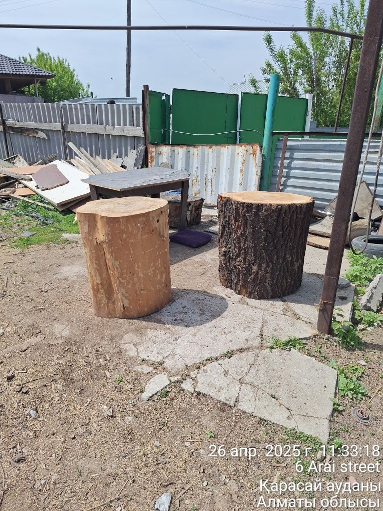 Продам рубочный пенек( карагач)