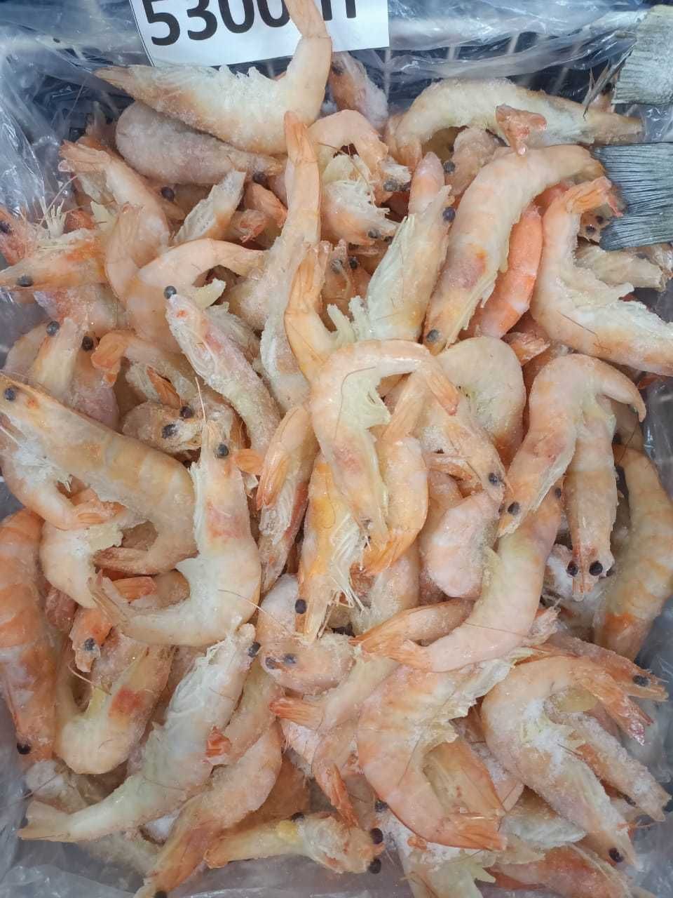 Семга обрезь. Продажа кор.15кг. Доставка бесплатно.