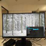 ASUS TUF Gaming VG259QM 280hz