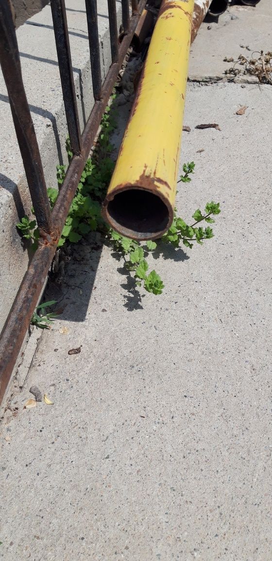 Металл труба, диаметр 4 см —6 см.