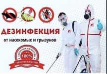 Дезинфекция Шымкент. Клопы, тараканы, кандала. Гарантия 100%