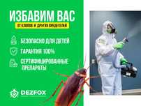 Уничтожение Клопов Клещей Мышей Крыс Грызун БЕЗОПАСНО Дезинфекция
