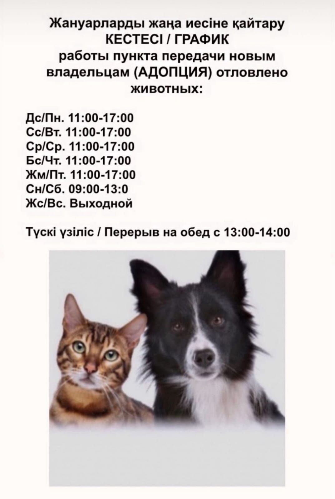 Спасите с отлово породистых и полупородистых животных