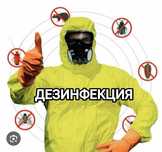 Профессиональная обработка д.е.з.и.н.ф.е.к.ц.и.я клопы тараканы мыши