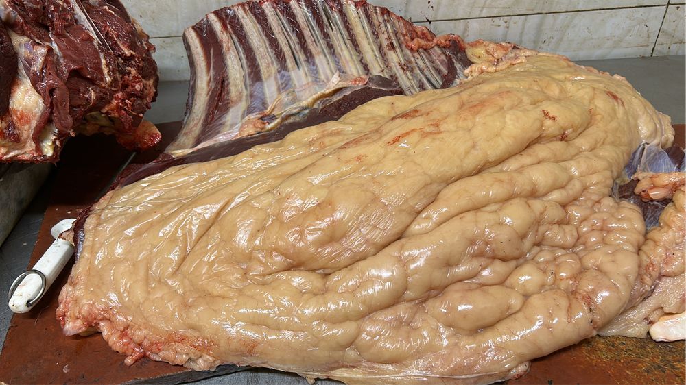 Продам чисто қазы жирные 2 пальца 3 пальца