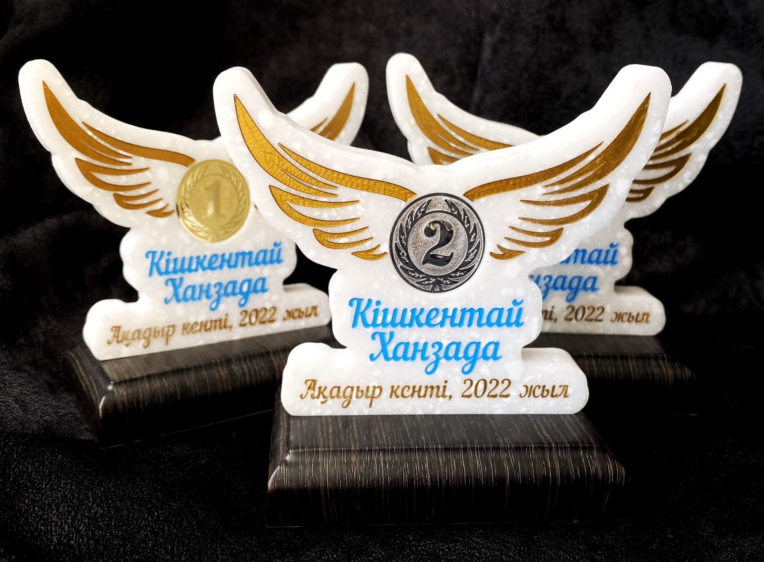 Награды, кубки, статуэтки. Новое поступление
