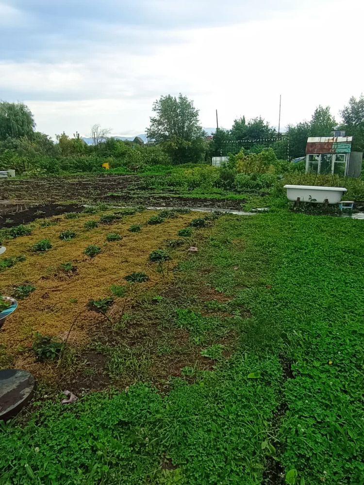 Продам дачу в Бухтарме