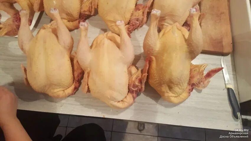 Продам мясо домашних индюков очень вкусное и нежное