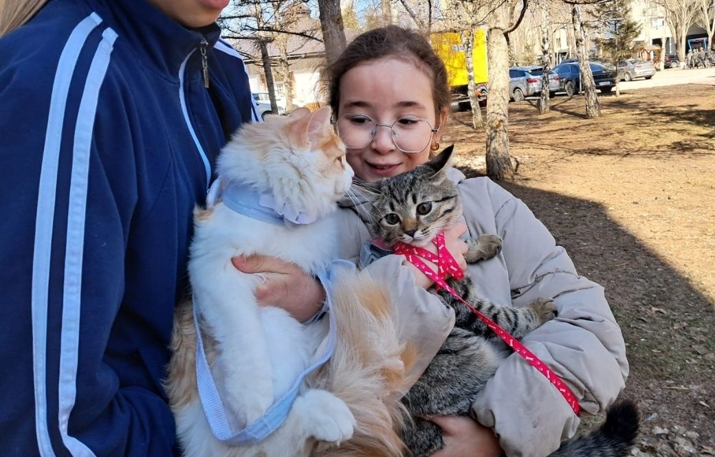 Выгул собак и кошек Астана!