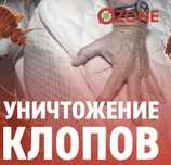 Дезинфекция уничтожение насекомых тараканов клопов муравей жук