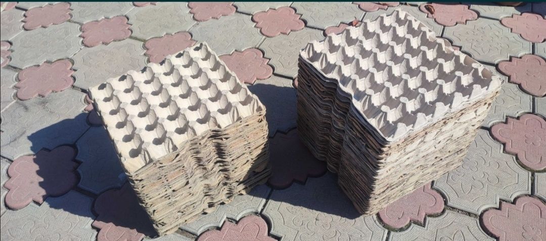 Лотки для яйц 20 тг